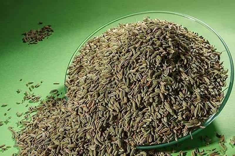 خرید رازیانه خشک شده